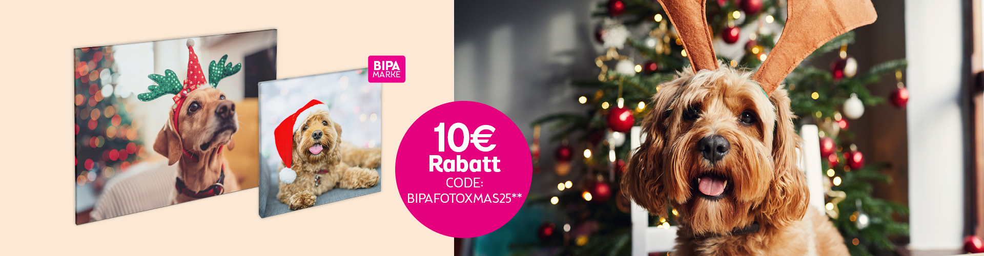 Hund mit Rentiergeweih vor dem Baum, links BIPA Fotoshop Wandbilder mit 10 € Rabattcode BIPAFOTOXMAS25 für Tierfreunde.