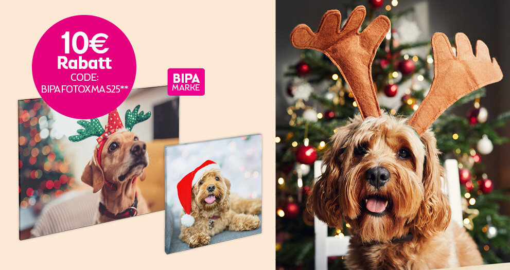 Hund mit Rentiergeweih vor dem Baum, links BIPA Fotoshop Wandbilder mit 10 € Rabattcode BIPAFOTOXMAS25 für Tierfreunde.